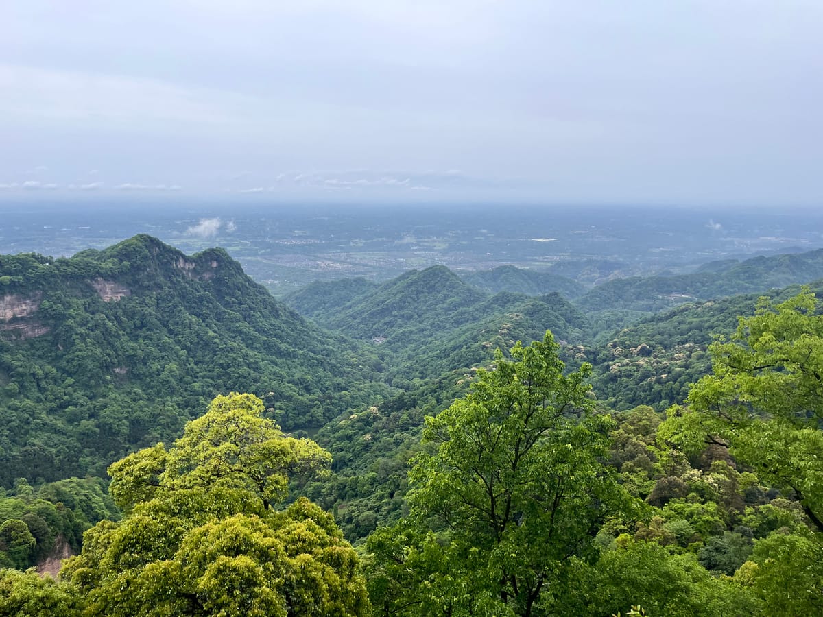 Hiking through Mt. Qing Cheng | 青城山