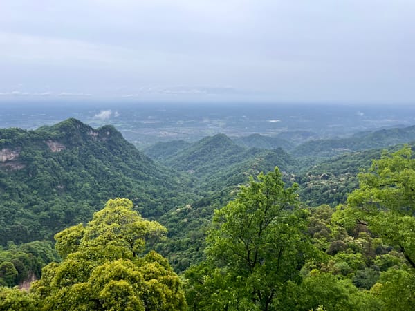 Hiking through Mt. Qing Cheng | 青城山